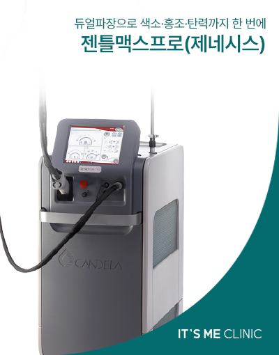 젠틀맥스프로(제네시스) 썸네일