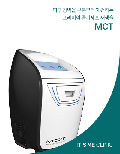 MCT 이미지